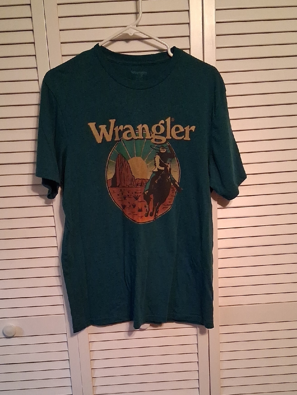 Wrangler Men's Teal Graphic Western Tee